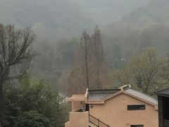 -杭州西湖风景名胜区-满觉陇四眼井