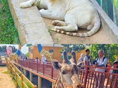 -西霞口神雕山野生动物世界