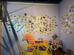 -喵屿·大理花园猫咖