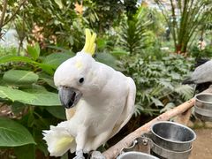 -南宫五洲植物乐园