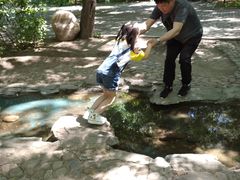 -大鹅岛绿色生态美食园