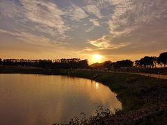 -光明小镇欢乐田园