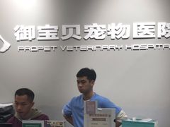-御宝贝24h宠物医院·转诊中心·CT核磁血透中心(厦门总院)