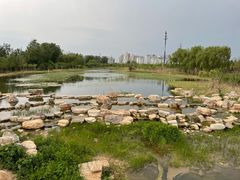 -东郊湿地公园