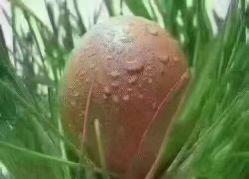 -名发世家烫染