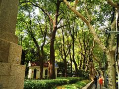 -复旦大学附属华山医院(总院)