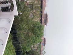-美的鹭湖森林度假区