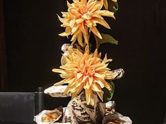 -蟹犇前•帝王蟹雪蟹(陆家嘴店)