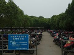 -野生动物园-停车场