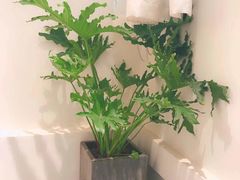 -左悦·艾灸调理·推拿按摩·精油SPA(卓悦汇店)