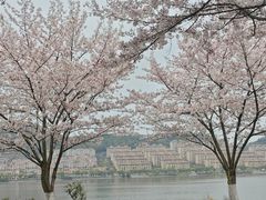 -团城山公园