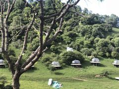 -关山草原