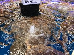 -盒马X会员店(上海森兰商都店)