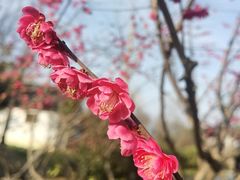 -石湖景区