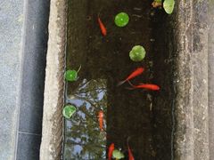 -河坊美食街(河坊街店)
