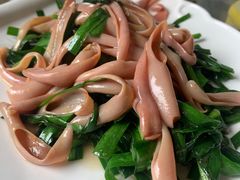 -鲁前海沿儿