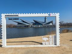 -盐城丹顶鹤湿地生态旅游区