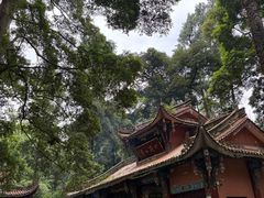 -都江堰普照寺