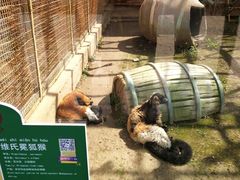 -无锡动物园·太湖欢乐园