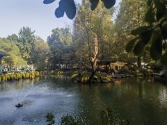 -杭州植物园