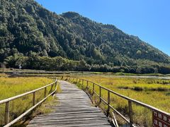 -腾冲北海湿地