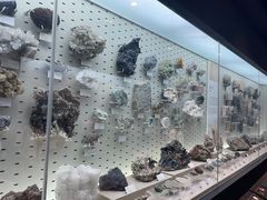 -浙江自然博物院(杭州馆)