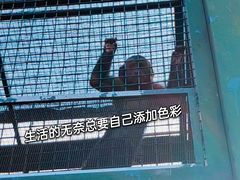 -无锡动物园·太湖欢乐园
