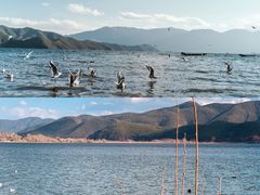 -丽江泸沽湖景区