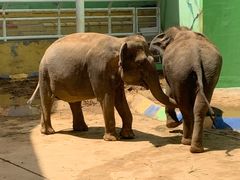 -大连森林动物园