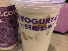 -一只酸奶牛(八一路店)