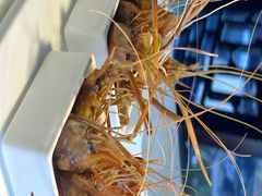 -柳莺湖上·湖景餐厅·江南菜(西湖店)