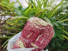 -奈雪的茶(华强北中航城PRO店)