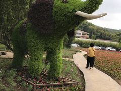 -广州市石门国家森林公园