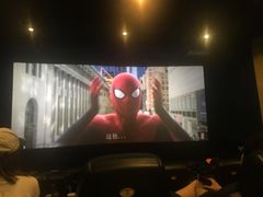 -AMG海上明珠影城(上海环球港RealDCinema店)