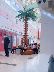 -复旦大学附属妇产科医院(杨浦院区)