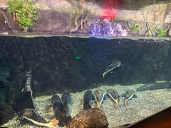 -太平洋海底世界