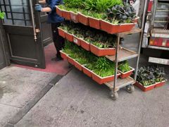 -呷湘厨·鱼汤捞饭·剁椒鱼头·辣椒炒肉(国家会展中心店)