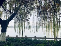 -济南大明湖景区