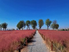 -汉长安城未央宫国家考古遗址公园