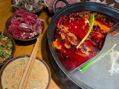 -阳阳老火锅(小南门店)