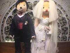 -济州岛泰迪熊博物馆