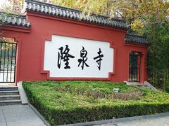-百脉泉景区
