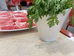 -阳坊大都涮羊肉(阳坊总店)