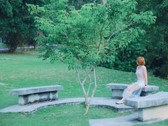 -槟城植物园