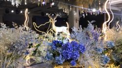 -大喜成国际宴会中心(金华店)