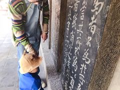 -碑林公园