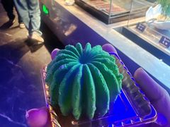 -奔海甄选·活鲜刺身铁板烧自助(太原里店)