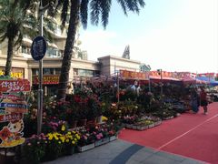 -碧桂园十里银滩