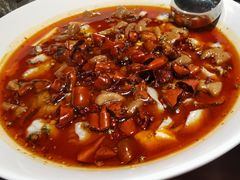 豆腐花肥肠鱼-首秀·四川料理(星耀101店)