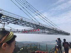 -梦幻奥陶纪景区